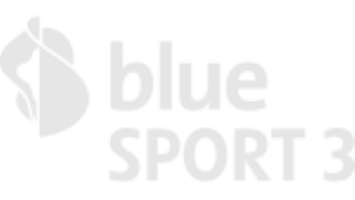 Blue Sport 3 CH logo