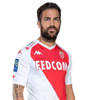 Cesc Fabregas portrait