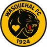 Wasquehal badge