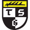 Balingen badge
