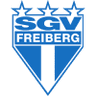 SGV Freiberg badge