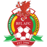 Briton Ferry Llansawel badge
