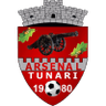 Tunari badge