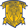 Basingstoke Town badge