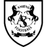 Amiens badge