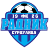 Radnik Surdulica badge