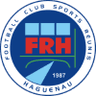 Haguenau badge