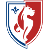 Lille badge