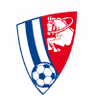Pardubice badge