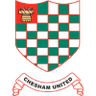 Chesham United badge