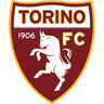 Torino badge