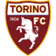 Torino badge