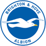 Brighton and Hove Albion badge