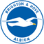 Brighton and Hove Albion badge