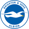 Brighton and Hove Albion badge