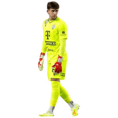 Dániel Radnóti profile image