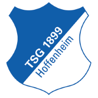 Hoffenheim badge