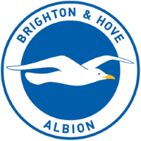 Brighton and Hove Albion badge