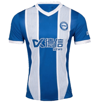 2024-2025 Home kit
