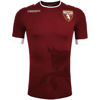 2016-2017 Home kit