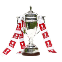 English FA Youth Cup artwork